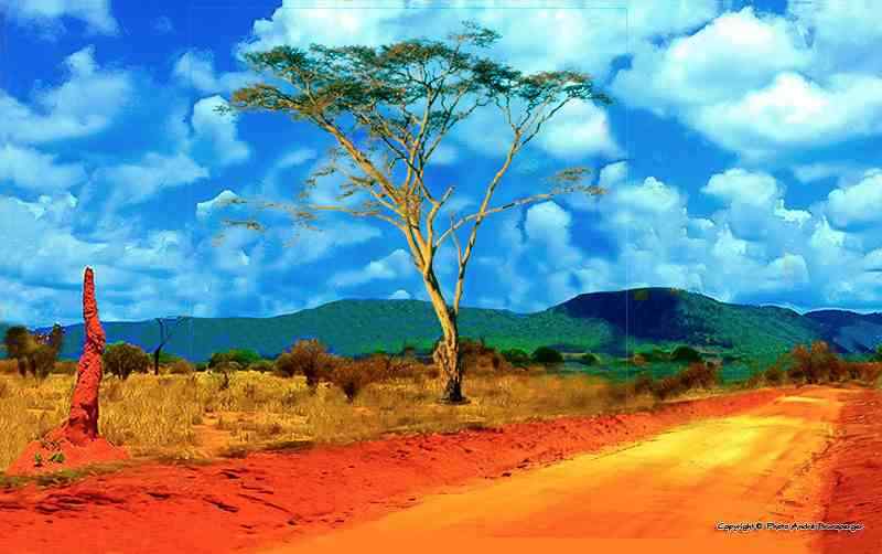 Tsavo - Kenya Tsavo Amboseli