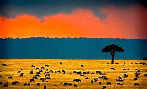Monsoon - Kenya climate beaches and safaris