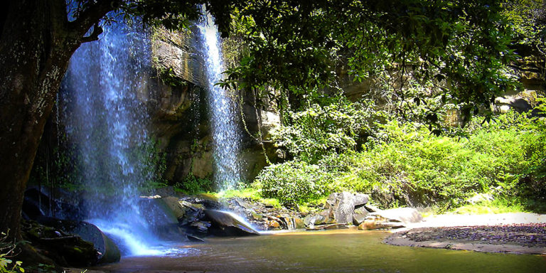 Kenya travel shimba hills safari one day